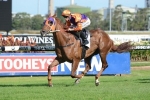 Our Boy Malachi has to overcome wide gate in Hall Mark Stakes