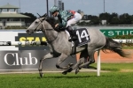 Destiny’s Kiss on track for Villiers Stakes