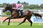 Soft Carrington Stakes Track No Issue For Voilier
