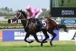 Waller Confident Class Will Prevail At Rosehill