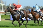 Dances On Stars A Chance For Takeover Target Stakes