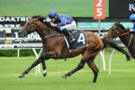 River Wild could be the ‘smoky’ in the Australian Guineas