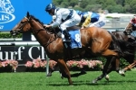 Red Excitement a Winning Chance in Villiers Stakes
