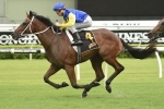 Heavy track for Randwick to start Doncaster Mile Day