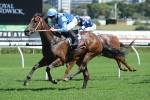 Hawkes Unsure Whether Mihiri Can Beat Catkins In Breeders Classic