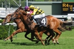 Big Money Back To His Best In Southern Cross Stakes