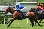 Telperion and Souchez vying for Golden Slipper starts in Skyline Stakes