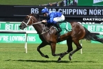 Winx’s Royal Ascot campaign to be decided this week