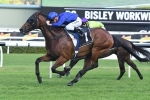 Blinkers go back on Happy Clapper in Winxless Winx Stakes