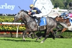 Chautauqua retired after no go at The Valley