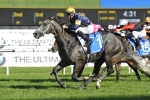 Chautauqua favoured to win 3rd T J Smith Stakes