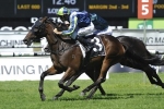 He’s Our Rokkii Back To His Best In Carbine Club Stakes