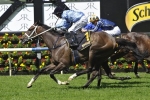 Libran To Sydney Cup After Chairman’s Handicap Win