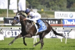Yankee Rose out of Champagne Stakes