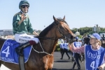 King’s Legacy aimed towards the 2020 Golden Rose Stakes