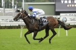Boss Confident Caulfield Stakes Trip No Issue For Kermadec