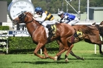 Gallic Chieftain charges into Sydney Cup with Chairman’s Quality win