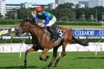 Fanatic gearing up for second attempt to run in Caulfield Cup