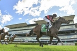 Away Game reproduces Golden Slipper form to win 2020 Percy Sykes Stakes