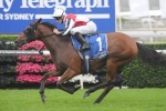 Gypsy Diamond salutes for punters in Carbine Club Stakes