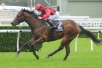 Hallowed Crown Can Overcome Wide Golden Rose Barrier