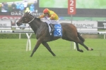 Lankan Rupee wins T J Smith Stakes for 2014