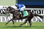 Royal Descent to step up to the Cox Plate after Epsom Handicap