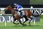 Walter Duo Set To Miss Queen Elizabeth Stakes