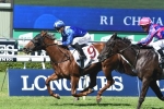 China Horse Club Mile winner Futooh a chance to back up in Champagne Stakes