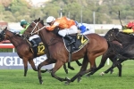 Who Shot Thebarman chasing back to back wins in Moonee Valley Gold Cup