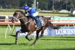 Barrier draw perfect for Winx in 2018 Winx Stakes