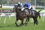 He’s Our Rokkii too strong for favourite in Frank Packer Plate