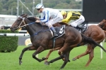 Record nominations for 2015 Thousand Guineas