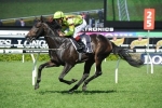 Veuvelicious To Back-Up In Champagne Stakes