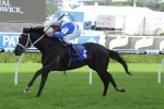 Royal Descent Early Favourite In Epsom Handicap Betting