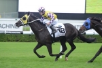 Purton To Ride Sacred Falls In George Ryder Stakes