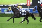 Sacred Falls Ready For Canterbury Stakes Return