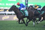 A Good rated track will suit Trekking in 2019 Kingsford-Smith Cup