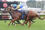 Villiers Stakes Win Would Be Just Reward For Estonian Princess