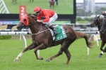 Hot Snitzel & Charlie Boy To Debut For Team Snowden In Hall Mark Stakes