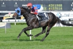Pierro has blinkers back on in Canterbury Stakes