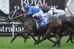 Waterhouse Confident Excess Knowledge Can Record Maiden Australian Win