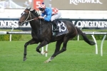 Melbourne Cup The Spring Goal For La Amistad