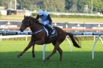 Lovethebeaches Primed for Queensland Cup