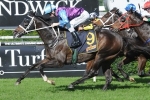 Waller to saddle up 3 runners in Winter Challenge
