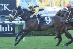 You’ll Never on trial for Villiers Stakes at Rosehill