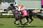 Rawiller sticks with Watabout in The Rosebud