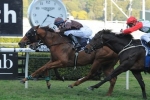 Messene Ticked Weight-For-Age Box With Missile Stakes Run