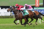 Better track the key to Rock Sturdy in Bill Ritchie Handicap