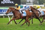 Tiger Tees out of Southern Cross Stakes